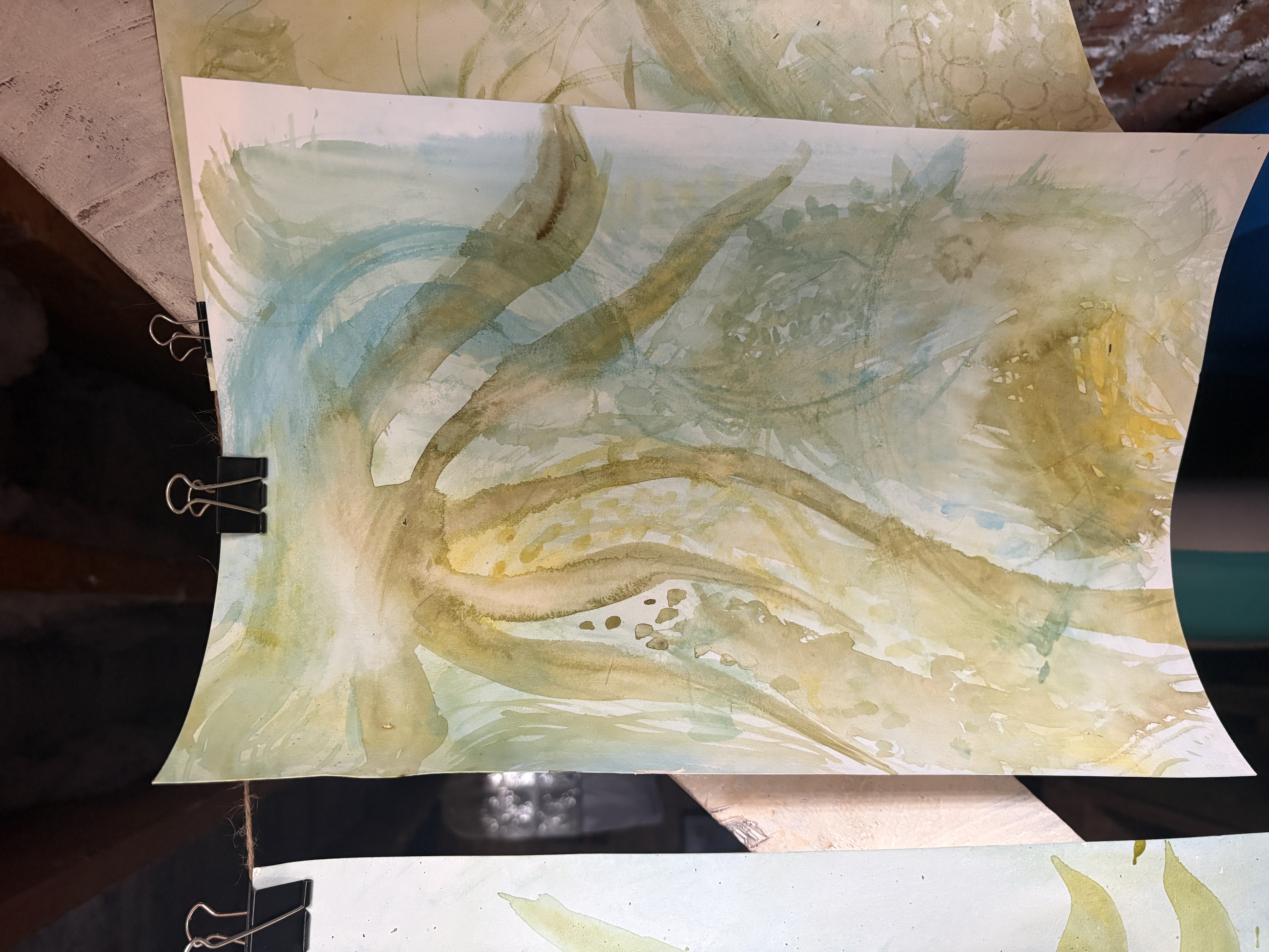 Tide pool study